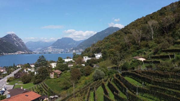 Terreno edificabile con spettacolare vista lago 2