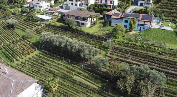 Due terreni edificabili contigui in vendita 2