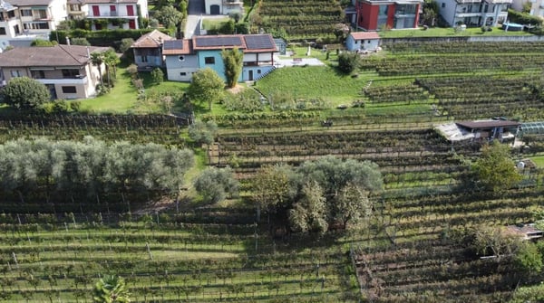 Due terreni edificabili contigui in vendita 5