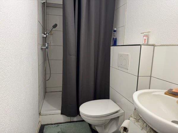 RENDITE-MFH (5%) IM AUFSTREBENDEN GLARNERLAND 12