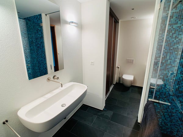 HOCH ÜBER DEN DÄCHERN VON ZÜRICH 9