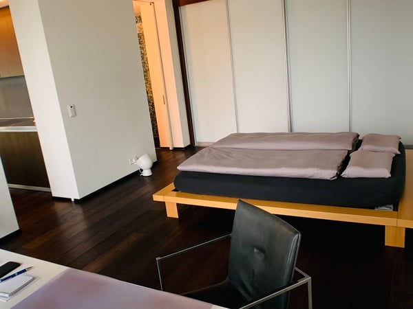 HOCH ÜBER DEN DÄCHERN VON ZÜRICH 11