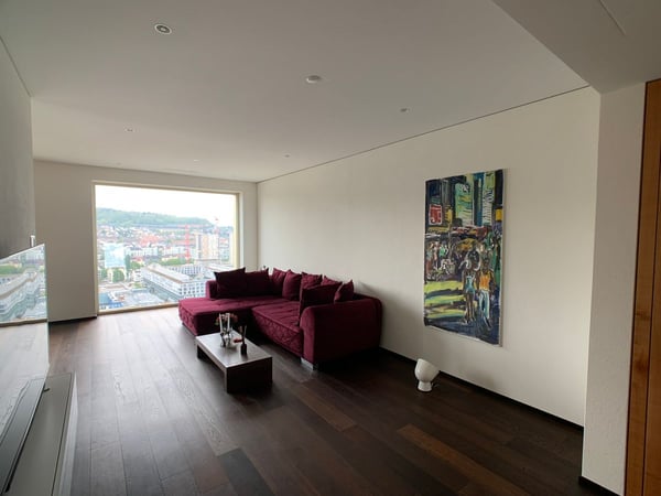 HOCH ÜBER DEN DÄCHERN VON ZÜRICH 5