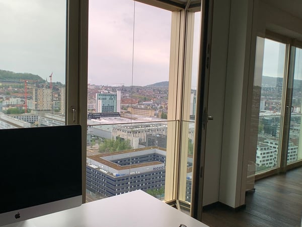 HOCH ÜBER DEN DÄCHERN VON ZÜRICH 13