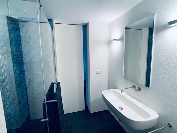 HOCH ÜBER DEN DÄCHERN VON ZÜRICH 8