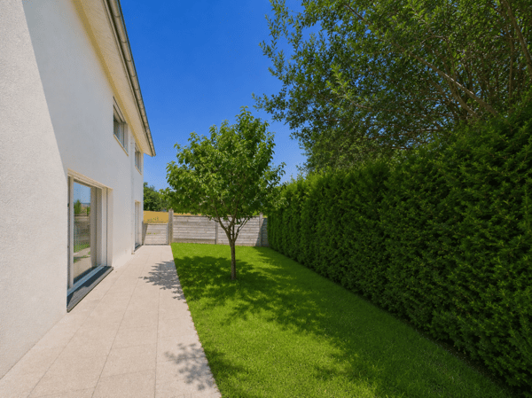 Reinach AG