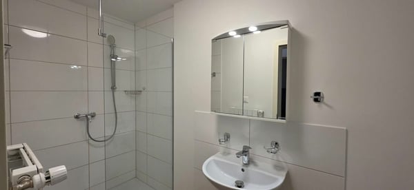 ALTSTADT-PERLE IN ZOFINGEN - RENDITESTARK 4% AN TOP-LAGE! 8