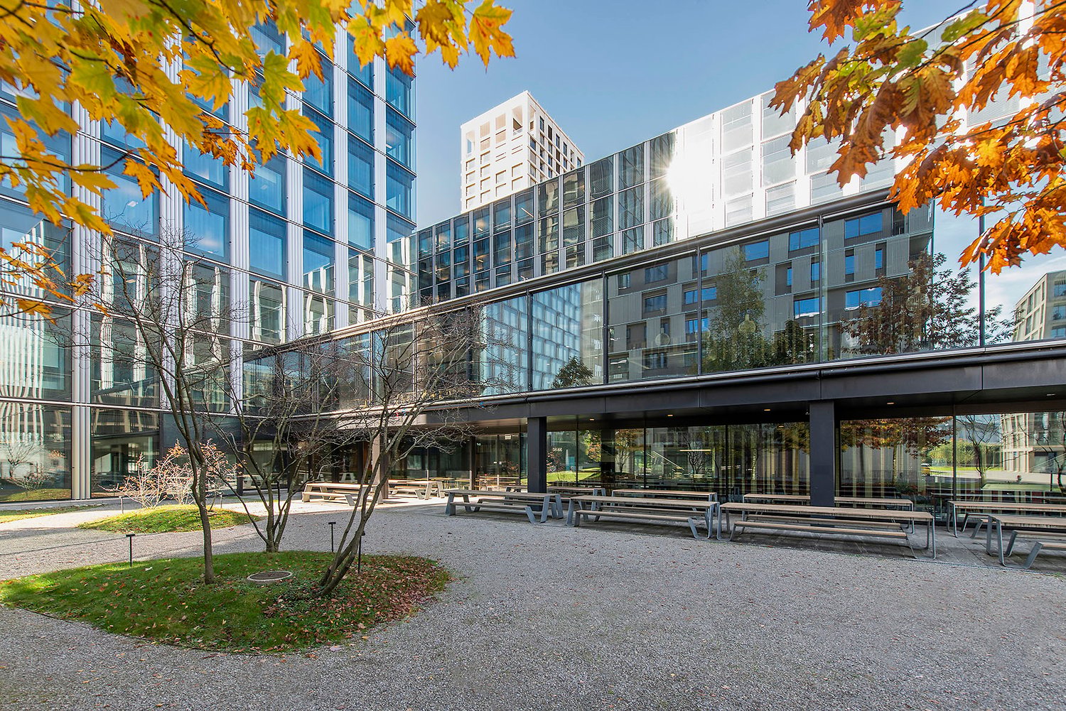 modern office building with glass facade, graveled outdoor seating area, glass covered entrance, greenery