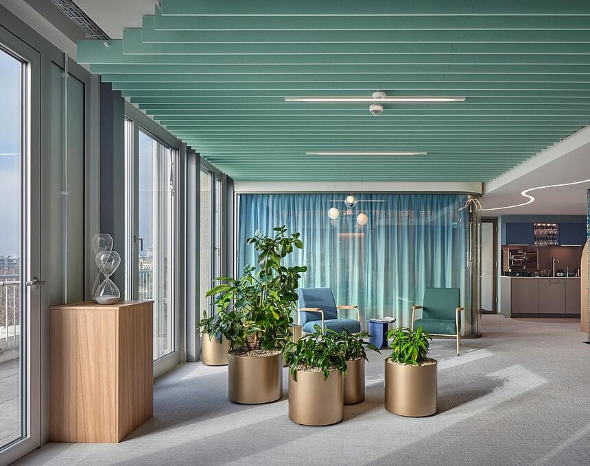 large windows, light ceiling, wooden desk, armchairs, plants, kitchen