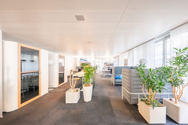 Flexible Büroflächen zum Bestpreis – bis zu 3'620 m² ab sofort verfügbar 4