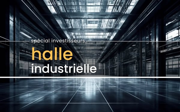 Sierre | Iles Falcon - Grande surface industrielle 1