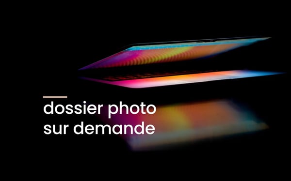 Sierre | Iles Falcon - Grande surface industrielle 3