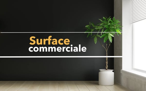 Île Falcon | Surface commerciale spacieuse avec vitrine 1
