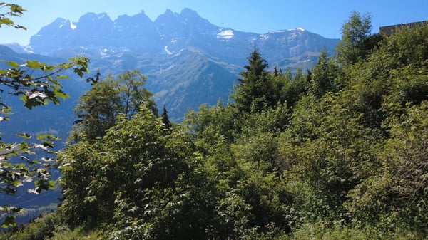 Val-d'Illiez | Charmant chalet avec vue dégagée sur les Dents-du-Midi 12