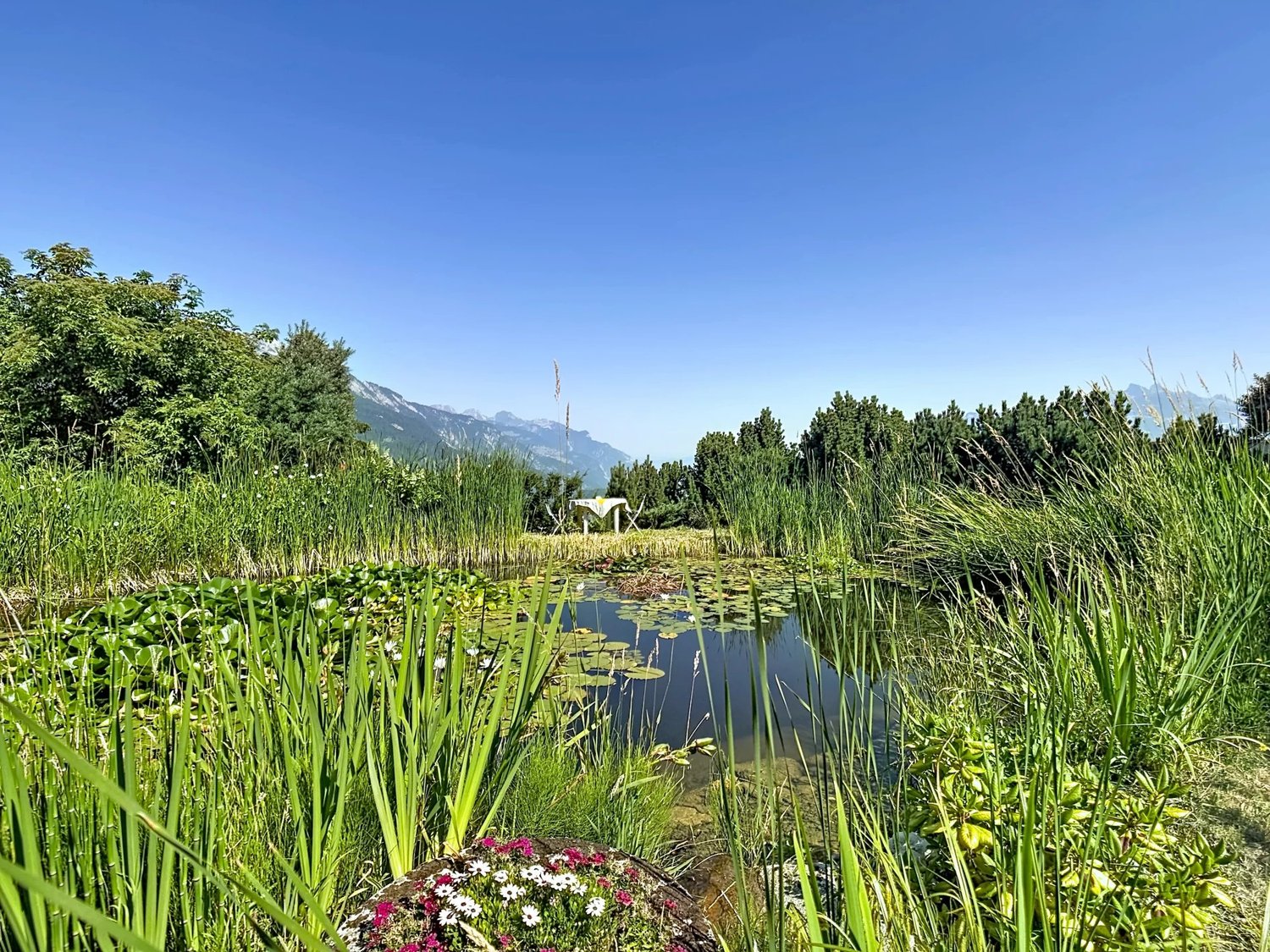 Immobilie in Les Giettes - LES GIETTES | Villa individuelle d'exception avec vue imprenable et biotope naturel - Bild 7
