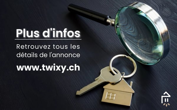 Vevey ? Etablissement de caractère vendu clé en main 9
