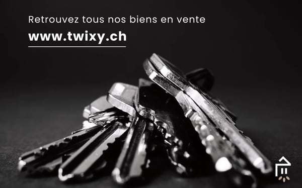 Ardon - Immeuble avec beaucoup de cachet 6
