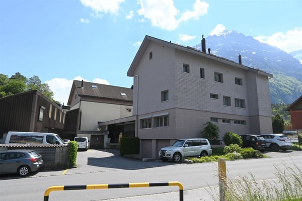 Interessante Wohn- und Gewerbeliegenschaft an guter zufahrbarer Lage 2