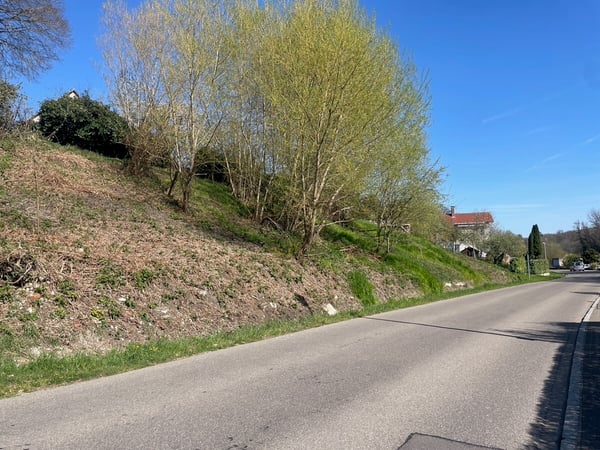 Jestetten - Baugrundstück in Südhanglage 8