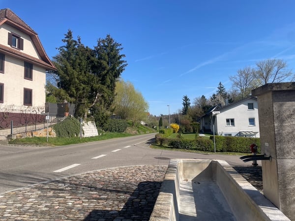 Jestetten - Baugrundstück in Südhanglage 9