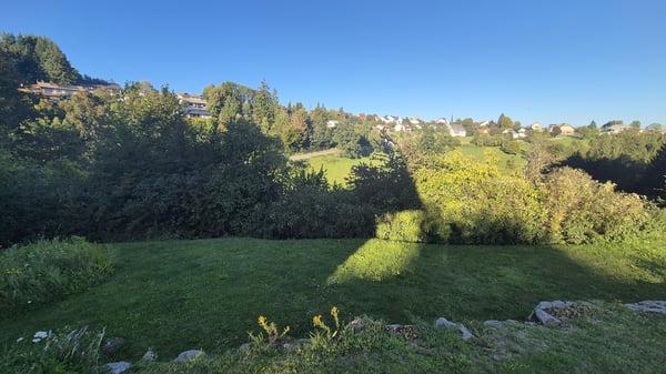 Höchenschwand/Amrigschwand- schönes Einfamilienhaus in ruhigem Ambient 5