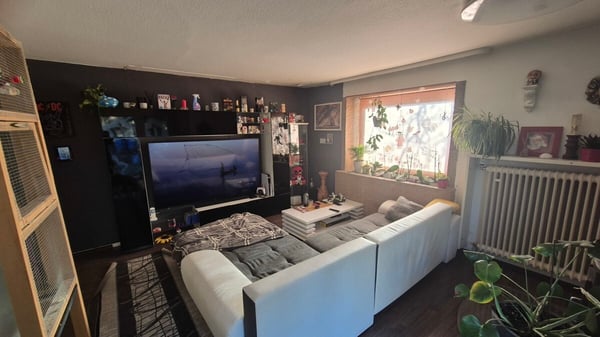 Albbruck - Einfamilienhaus mit Gewerbeanteil! 7