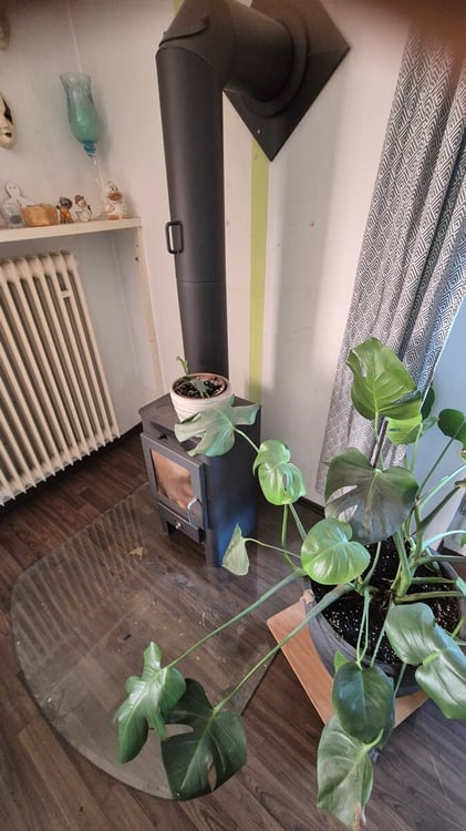 Albbruck - Einfamilienhaus mit Gewerbeanteil! 8