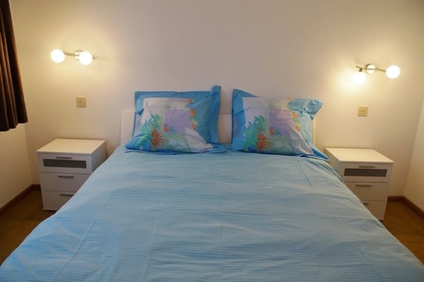 LOC 146 - PALMA B17 13