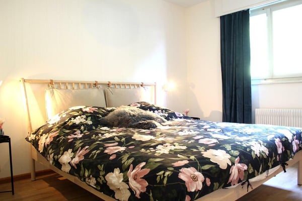 LOC 110 - RAINBOW A 7