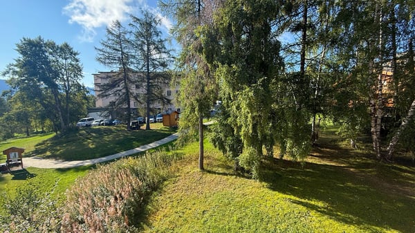 LOC 187 - ARLEQUIN 2 10