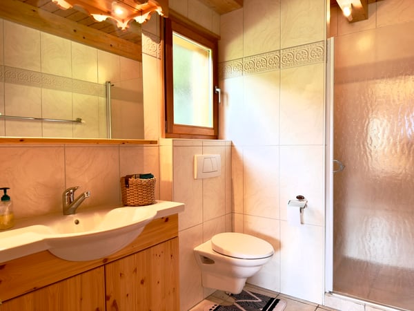 LOC 270 - CHALET GERONIMO 13