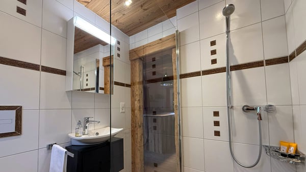 Magnifique Mazot 1.5 pièces - Bluche 11