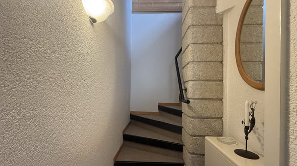 LOC 19 - CHALET GRINCHON 11