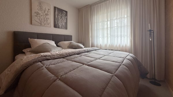 LOC 19 - CHALET GRINCHON 9