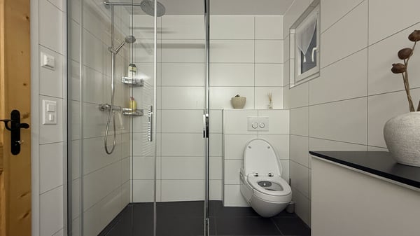 LOC 19 - CHALET GRINCHON 12