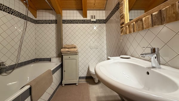 LOC 242 - CHALET LES SOURCES 11