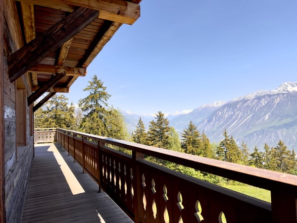 LOC 19 - CHALET GRINCHON 10