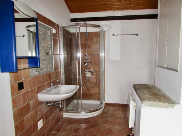 Accogliente appartamento 1.5 locali a Barbengo 5