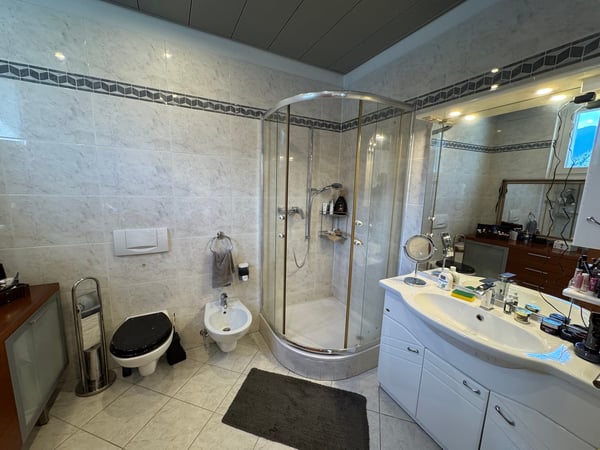 Immobile commerciale artigianale a reddito con abitazione a Bedano 16