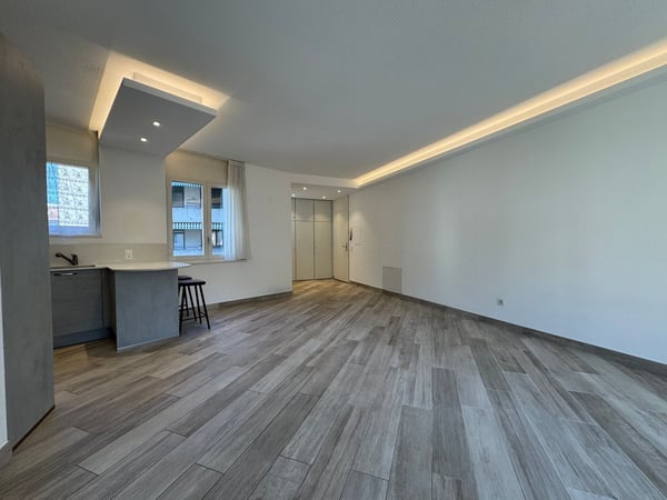 Moderno appartamento 1.5 locali in zona comoda a Lugano 5