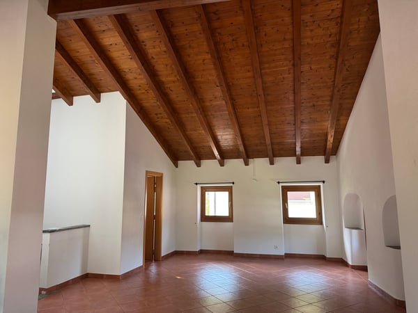 Grande appartamento duplex di 4.5 locali in casa storica a Barbengo 5