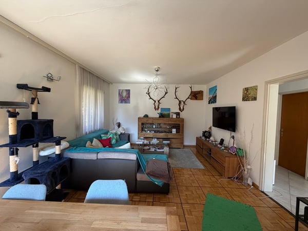 Casa bifamiliare 5.5 e 3.5 indipendente con giardino e box a Bodio 2