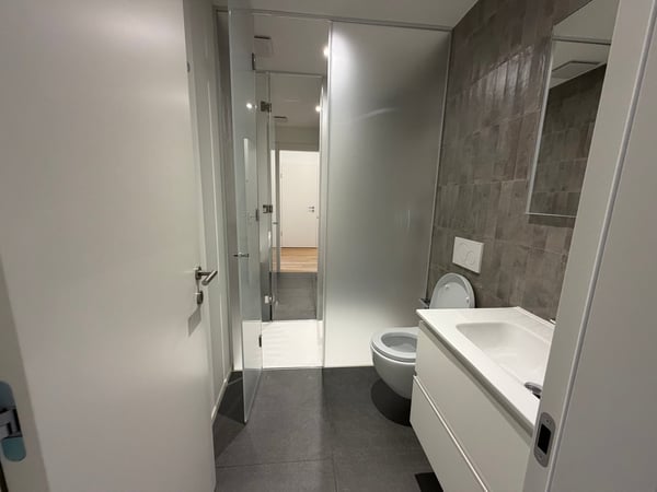 Nuova palazzina a reddito di 6 appartamenti a Pura 4