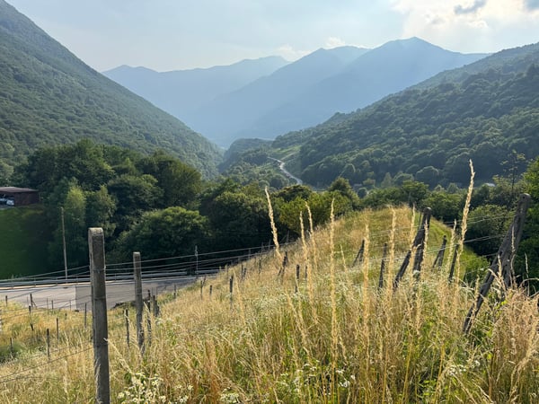 Terreno edificabile con vista panoramica a Medeglia 3