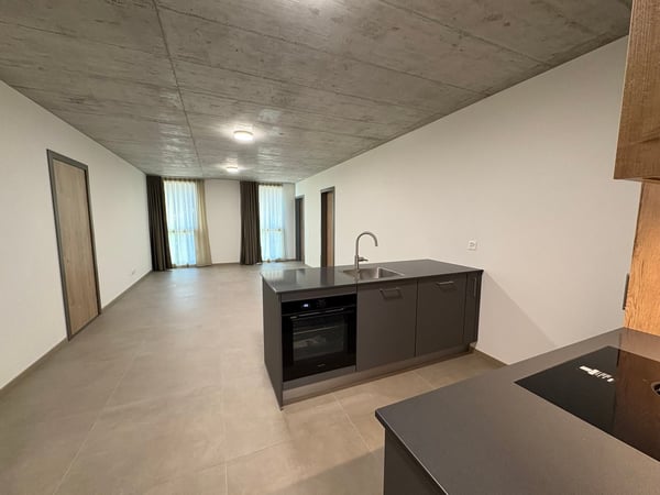 Moderno appartamento (n. 7) di 1.5 locali a Bellinzona 1