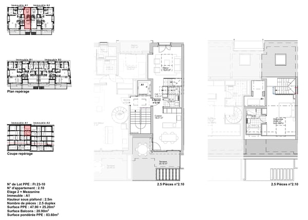 Appartement neuf en duplex à Founex 7