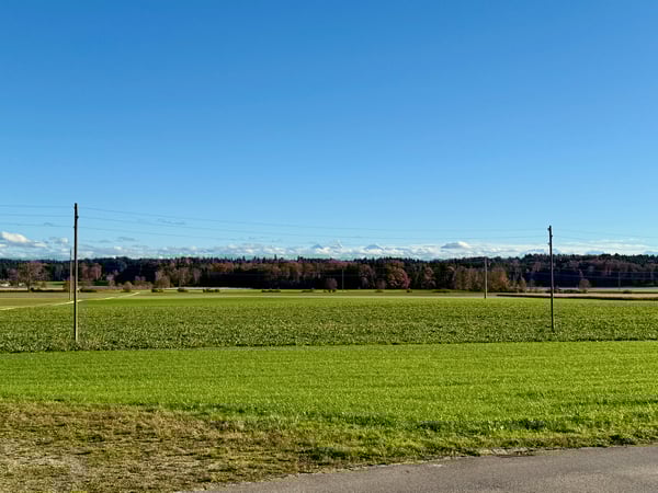 Modernes Wohnen im Buechibärg - Alpensicht garantiert! 11