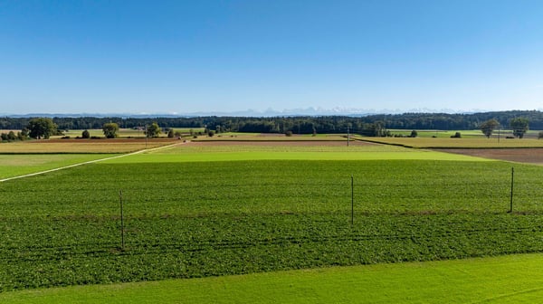 Modernes Wohnen im Buechibärg - Alpensicht garantiert! 7