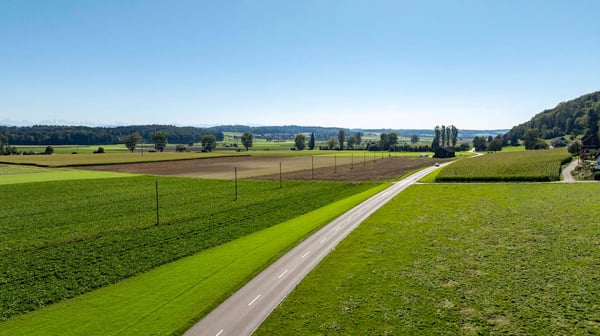 Modernes Wohnen im Buechibärg - Alpensicht garantiert! 10