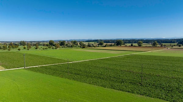 Modernes Wohnen im Buechibärg - Alpensicht garantiert! 8
